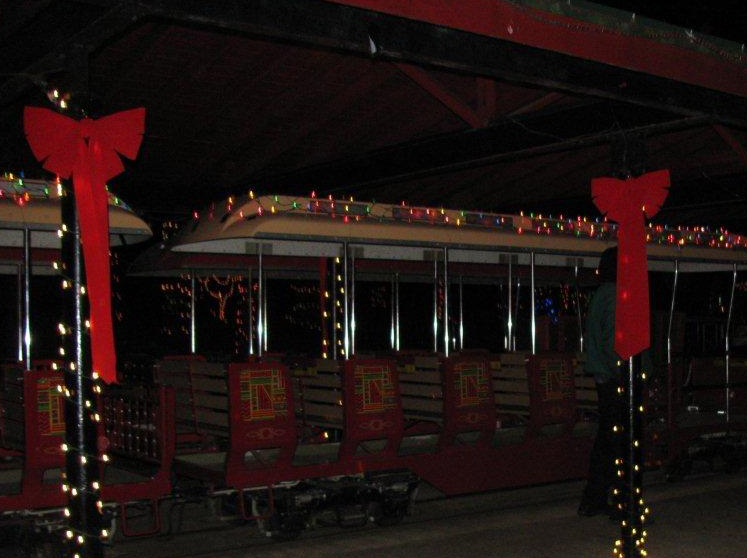 Zoolight holiday train