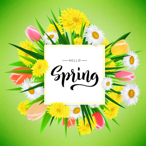 Hello Spring banner background template with beautiful realistic flowers. Vector.
